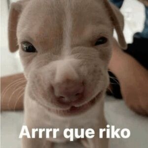 Meet your Posher, Evan